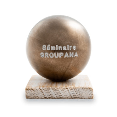 Trophée boule n°1 1