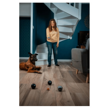 Tout Terrain boules bleues 2